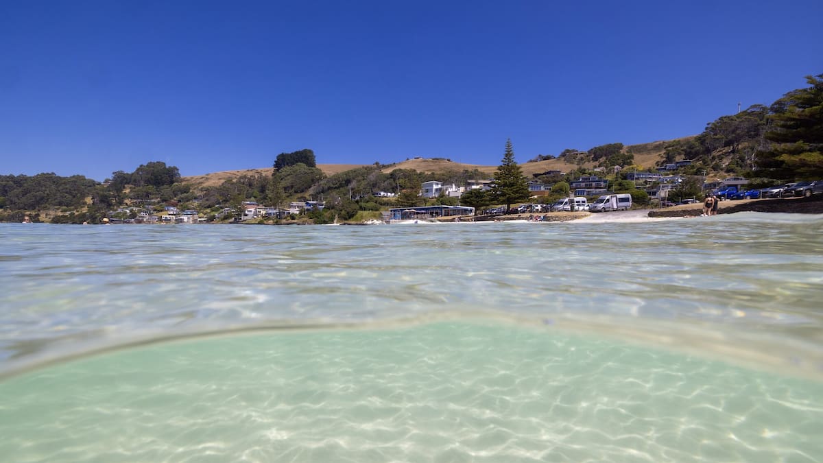 Bicheno, Tasmania: Food and wellness guide to this little-known coastal town