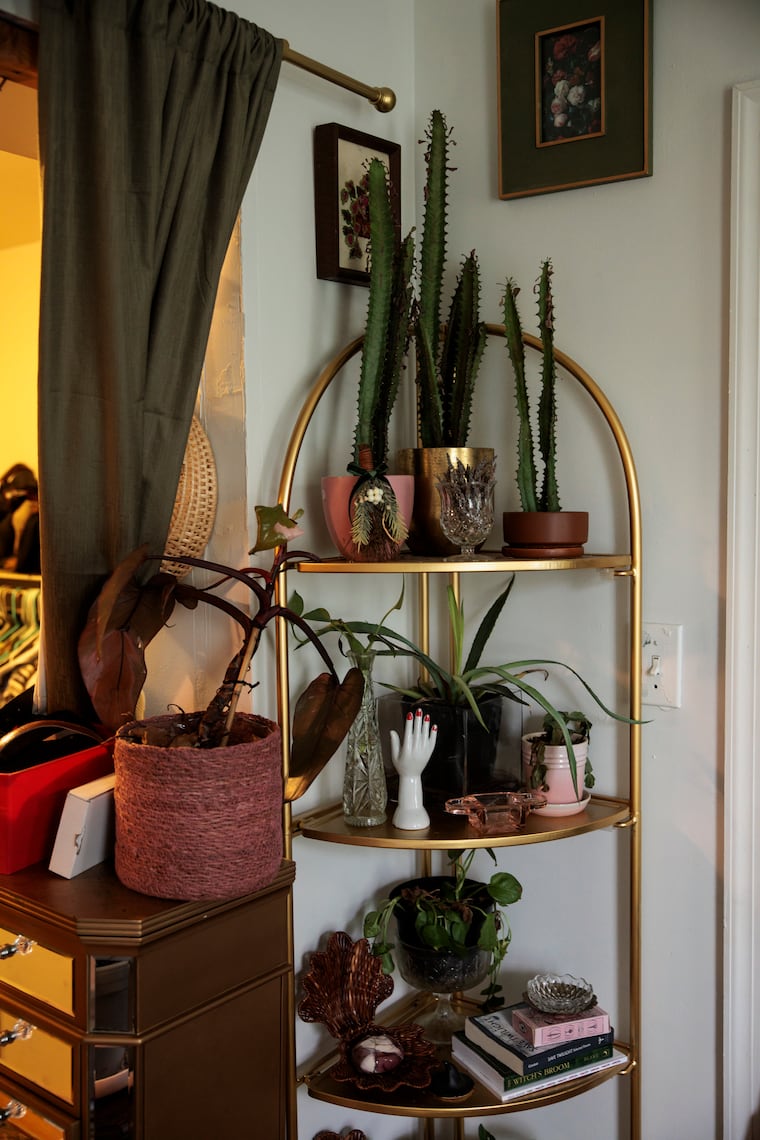Plants fill a corner shelf. 