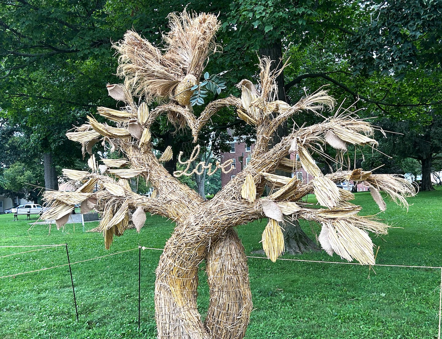 “The Tree of Life” by Bobbi Hanna, Fran Volz, Kelsey, Godsden, Oren, Ronan of Oregon, is one of five straw sculptures that members of the public can vote on at the U.S. National Straw Sculpting Competition in Mt. Morris. The winners of this year's competition will be announced at the conclusion of StrawFest 2026 on Saturday, Aug. 22, 2026.