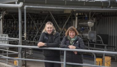 Te Ranga Pamu dairy farm wins biodiversity and primary sector awards in Bay of Plenty
