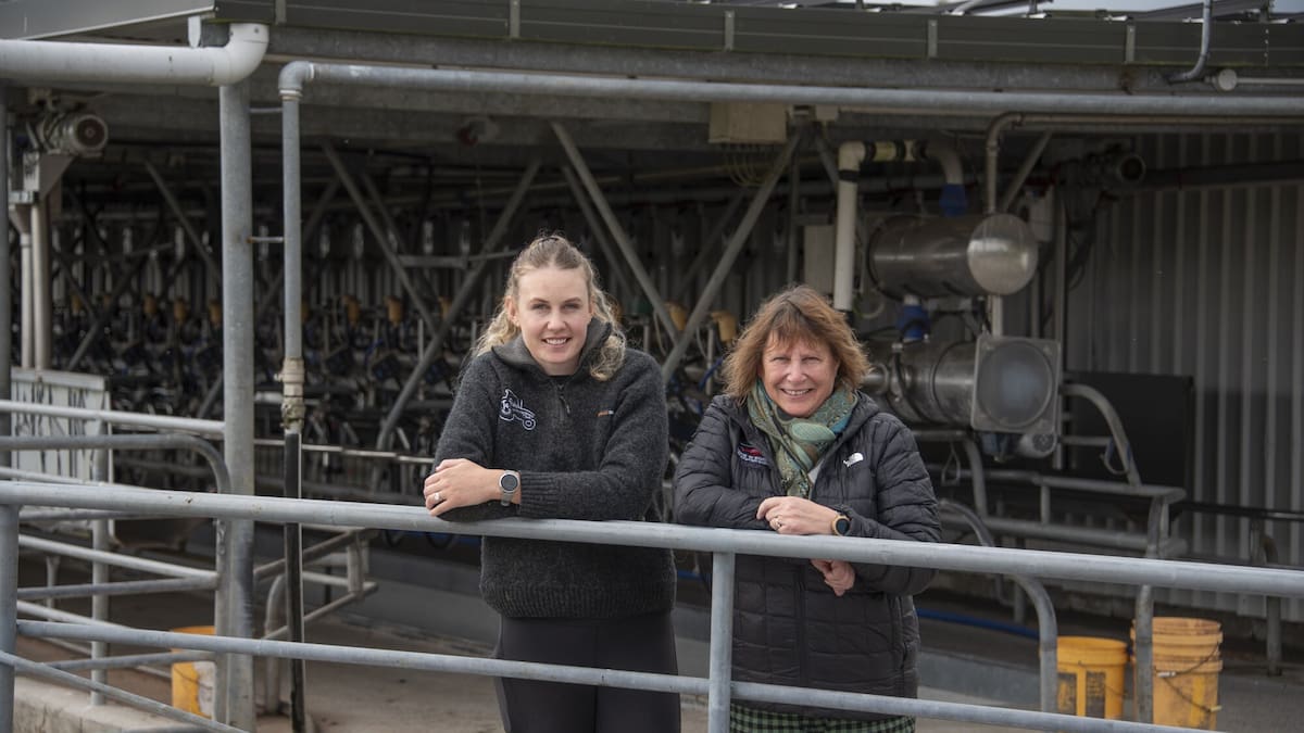 Te Ranga Pamu dairy farm wins biodiversity and primary sector awards in Bay of Plenty