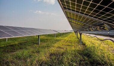 Genesis Energy’s 436ha Foxton solar farm gets fast-track approval