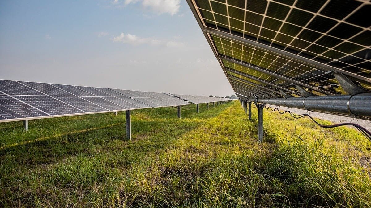 Genesis Energy’s 436ha Foxton solar farm gets fast-track approval