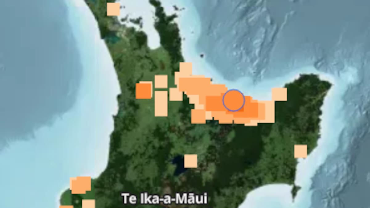 Magnitude 4.1 earthquake strikes near Whakatāne