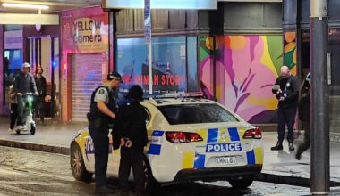 Queen St brawl leaves one seriously injured as four arrested in Auckland