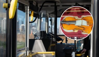Police investigate after international student’s $38k violin stolen on New Lynn bus