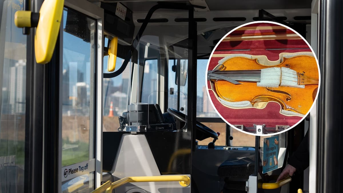 Police investigate after international student’s $38k violin stolen on New Lynn bus