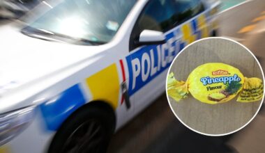 Meth lolly importers Yu Wang, Chen Cheah moved to NZ from Asia for commercial drug syndicate