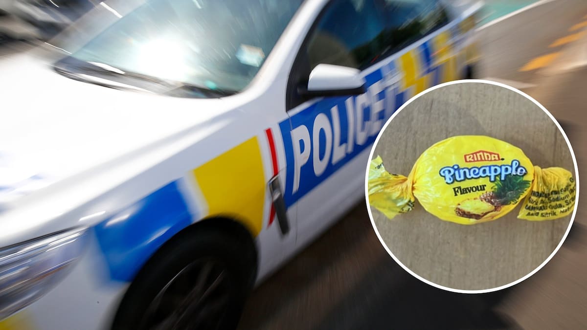 Meth lolly importers Yu Wang, Chen Cheah moved to NZ from Asia for commercial drug syndicate