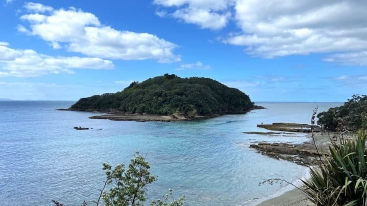 Popular Auckland marine reserve Goat Island the next site for paid parking