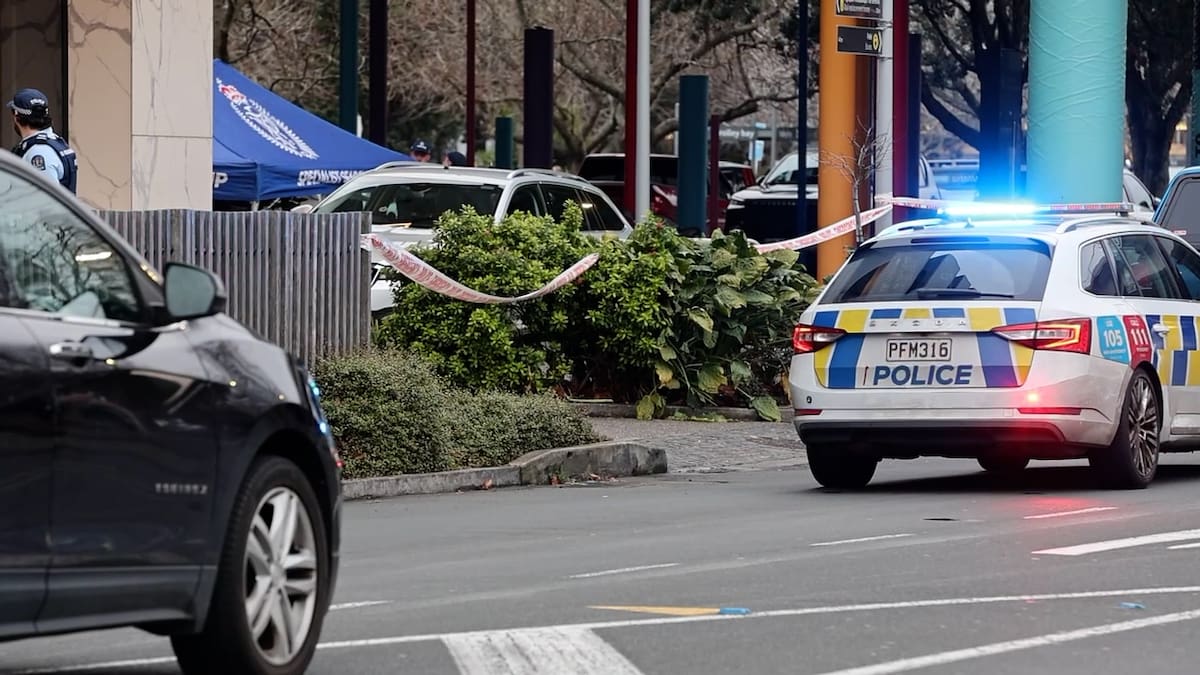 Sylvia Park shooting: Armed man fatally shot, critical incident investigation launched