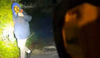 Torbay and Browns Bay BB gun damage: Police warn against social media speculation