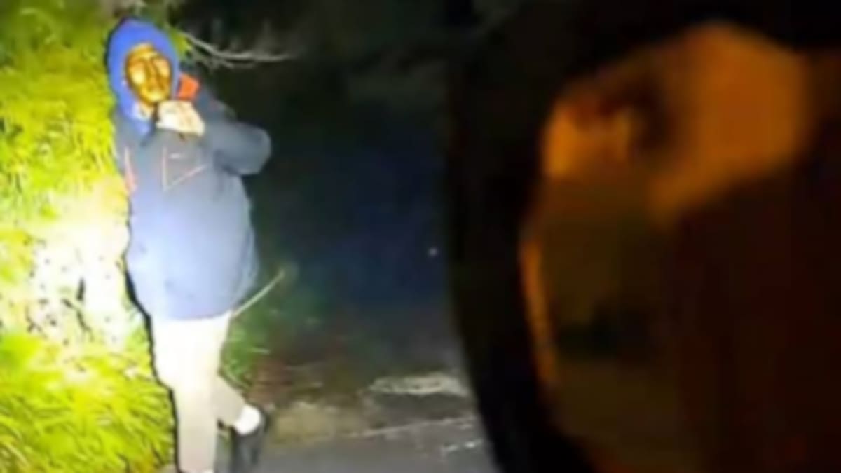 Torbay and Browns Bay BB gun damage: Police warn against social media speculation