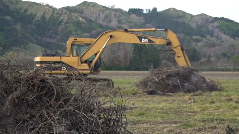 A burn-off pile at a vineyard.