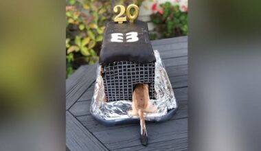 Takes the cake: Conservation groups celebrate with sweet creations