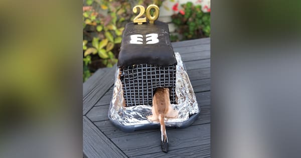 Takes the cake: Conservation groups celebrate with sweet creations