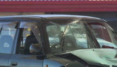 Auckland Grammar cyclists injured, dog killed in Epsom rampage