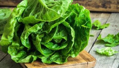 Scientists teach lettuce how to make its own meat protein