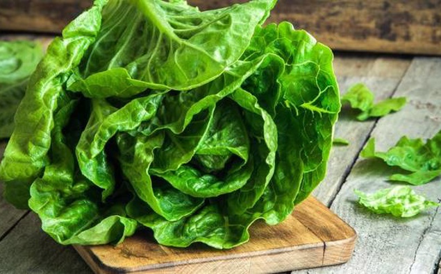 Scientists teach lettuce how to make its own meat protein