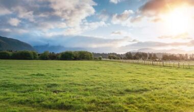 Dairy company fined $60k after worker loses arm to machinery