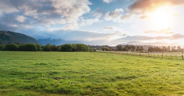 Dairy company fined $60k after worker loses arm to machinery