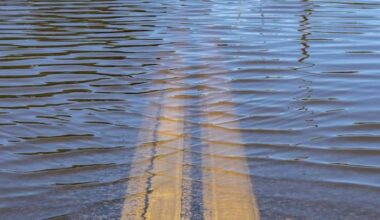 Flood alert system activated in north Auckland as downpours persist