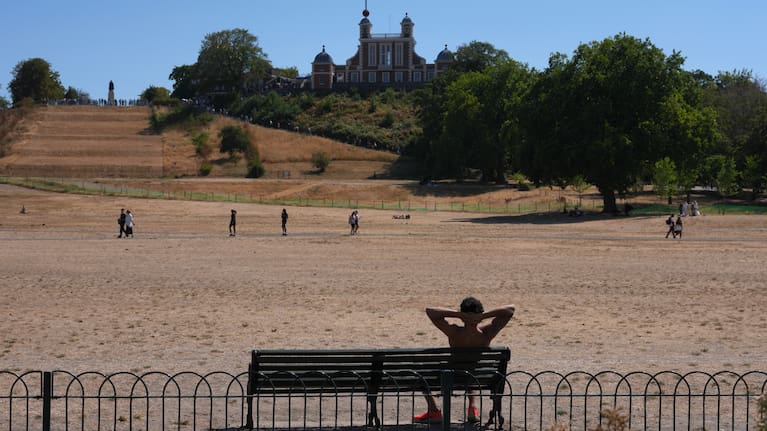 A man sits on a bench in Greenwich Park amid dried grass in London, Tuesday, Aug. 11, 2026.