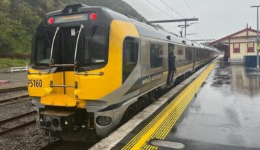 Man arrested after attempted copper theft shut down Wellington trains