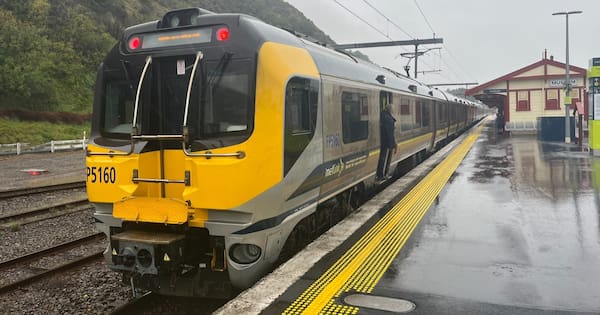 Man arrested after attempted copper theft shut down Wellington trains