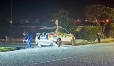 Police dogs, chopper called in after shotgun fired into Dargaville garage
