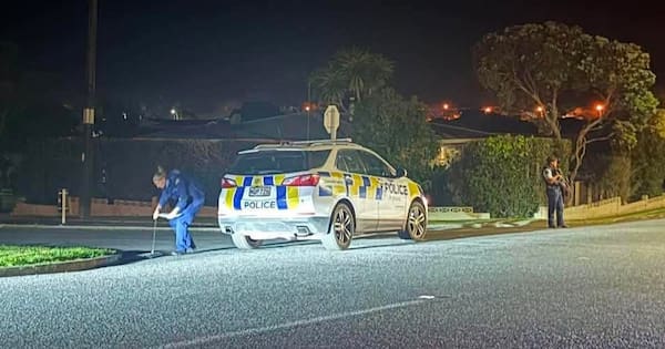 Police dogs, chopper called in after shotgun fired into Dargaville garage