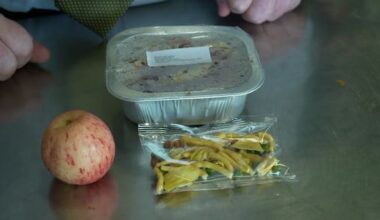 Greens pledge to restore, expand original school lunch scheme