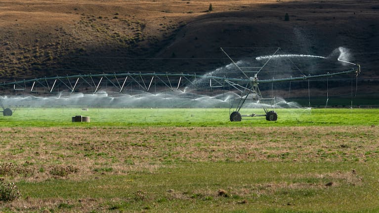 MPI is working with farmers and growers to prepare for potentially dry conditions.