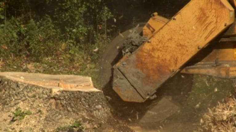 A stump grinder (File image). 