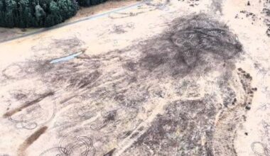 'Disappointing': 4WD vandals tear up popular Arthur's Pass campsite