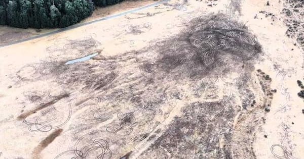 'Disappointing': 4WD vandals tear up popular Arthur's Pass campsite