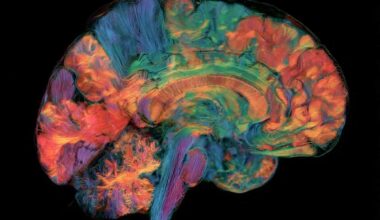 Neuroscience News logo for mobile.