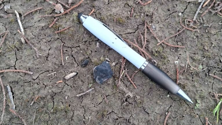 An 8g meteorite fragment, displaying the fusion crust. Ballpoint pen for scale. Source: Steve Wyn-Harris via Fireballs Aotearoa