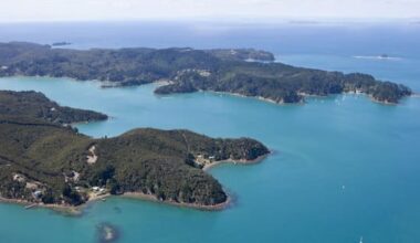 Contractor shot, critically hurt during Kawau Island pest hunt