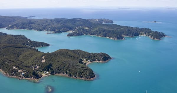 Contractor shot, critically hurt during Kawau Island pest hunt