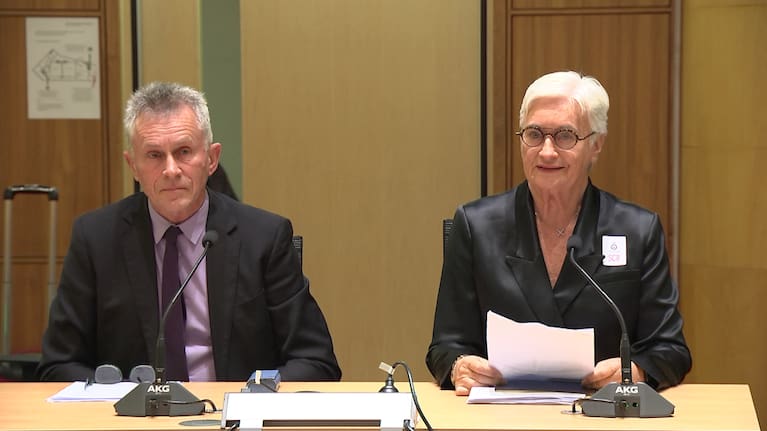 Andrew Shelling and health advocate Fay Sowerby appear in front of Parliament's Health Select Committee.
