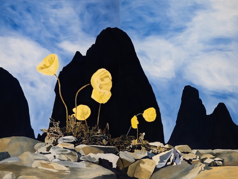 anne loch magnifies flowers, sheep and mountains at zentrum paul klee in switzerland - 2