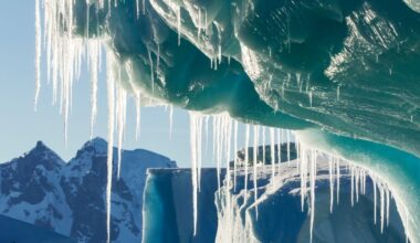 As Ice Melts, Antarctica Is Leaking Mercury Into The Ocean : ScienceAlert