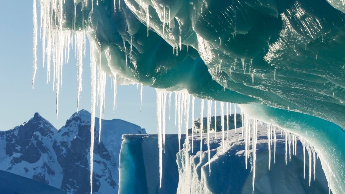As Ice Melts, Antarctica Is Leaking Mercury Into The Ocean : ScienceAlert