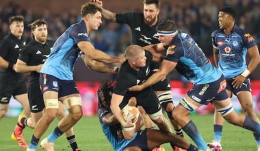 Anton Segner shines as All Blacks run over the Bulls