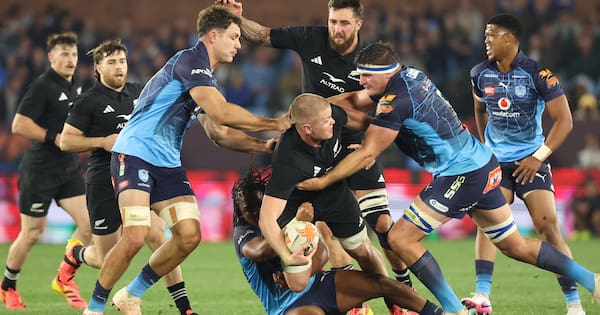 Anton Segner shines as All Blacks run over the Bulls