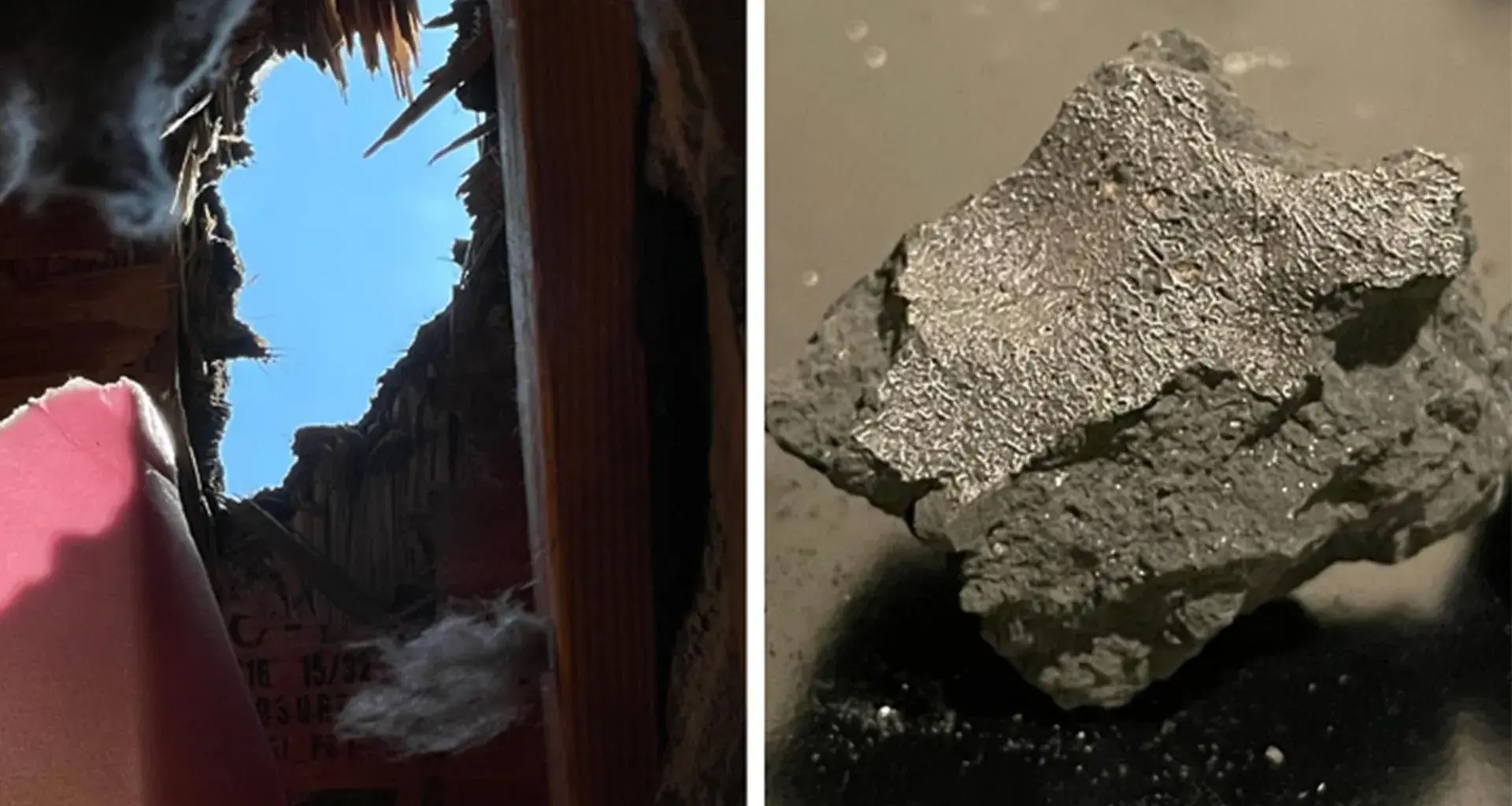 Meteorite that smashed through a New Jersey roof reveals clues to life’s origins
