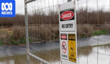 Kangaroo drownings in Riverina canal spark community concern