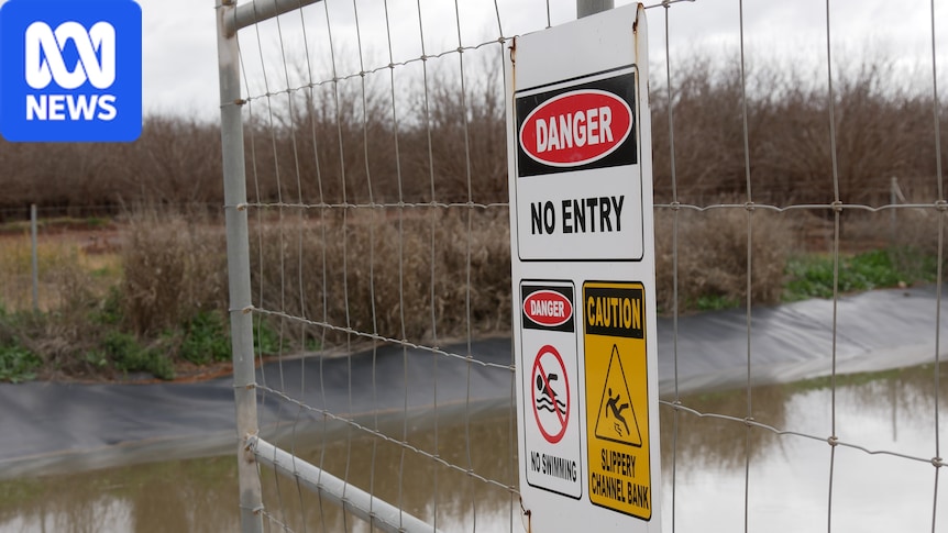 Kangaroo drownings in Riverina canal spark community concern