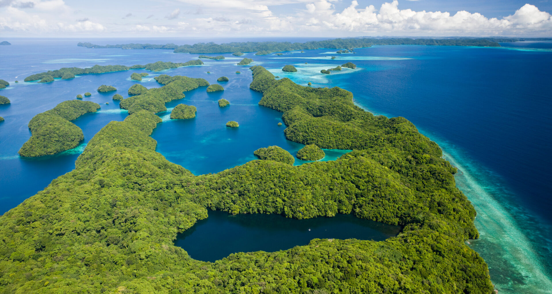 Oceania Affairs: Australian Media and New Zealand Politics